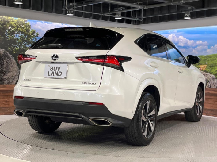 2021 Lexus NX 3BA-AGZ10 (UW-69f6bba2a9202)[27]