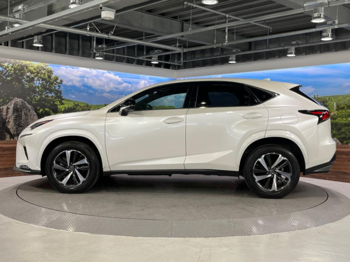 2021 Lexus NX 3BA-AGZ10 (UW-69f6bba2a9202)[22]