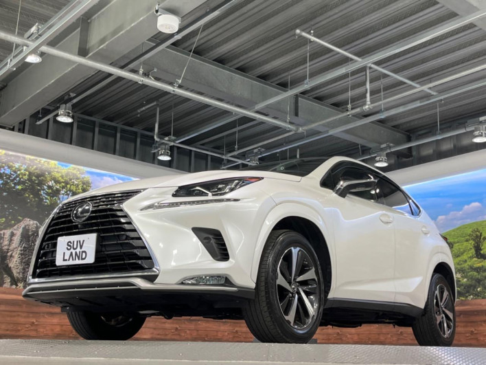 2021 Lexus NX 3BA-AGZ10 (UW-69f6bba2a9202)[17]