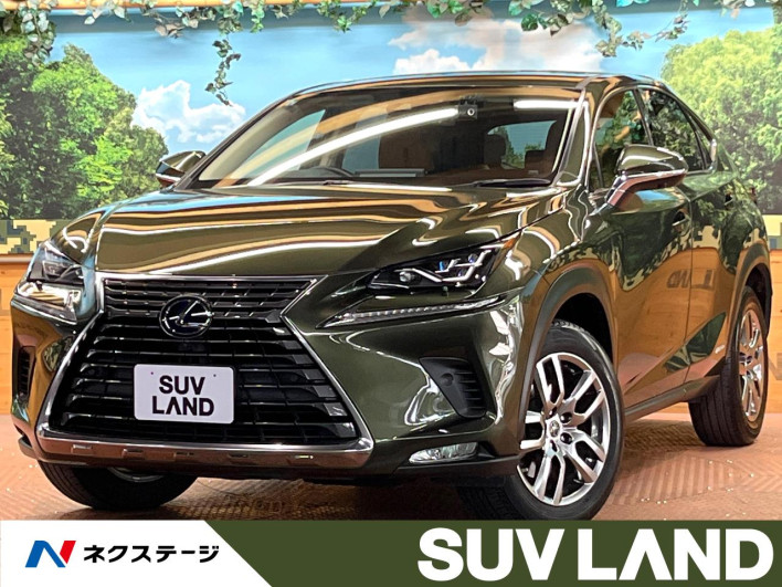 2021 Lexus NX 6AA-AYZ10 (UW-69f6bbb37d104)[3]