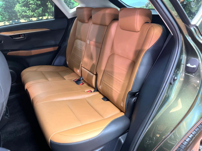 2021 Lexus NX 6AA-AYZ10 (UW-69f6bbb37d104)[9]