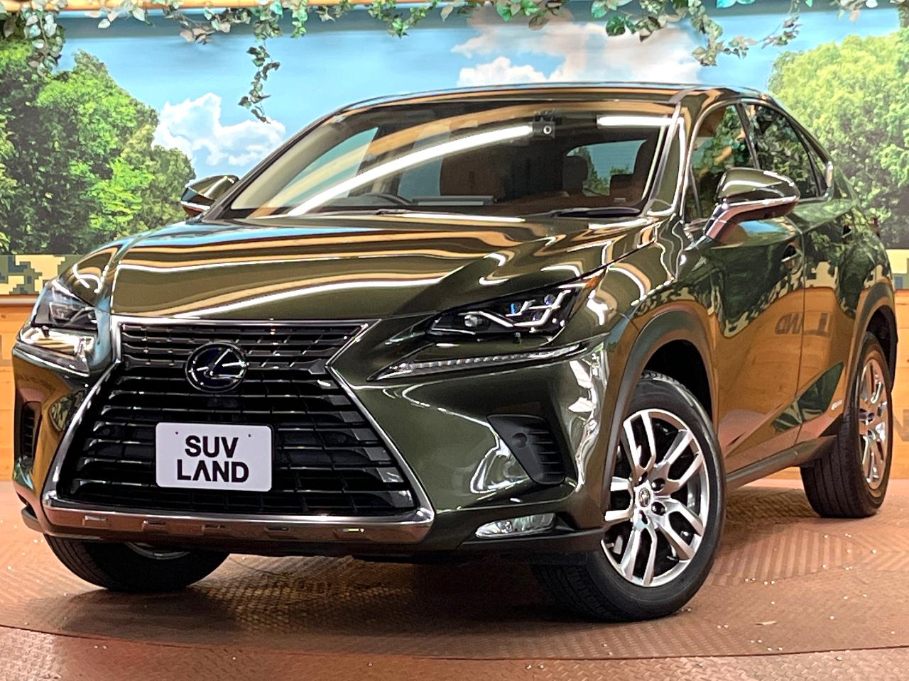 2021 Lexus NX 6AA-AYZ10