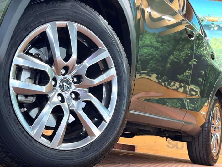 2021 Lexus NX 6AA-AYZ10 (UW-69f6bbb37d104)[15]
