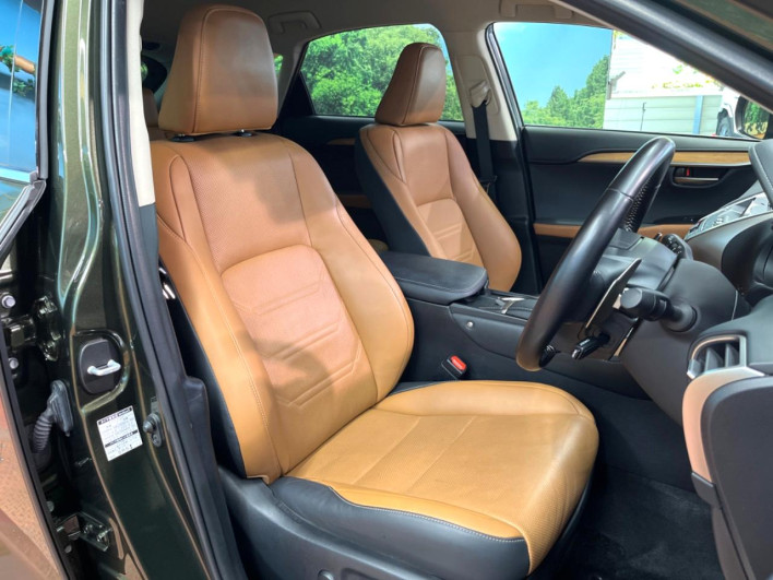 2021 Lexus NX 6AA-AYZ10 (UW-69f6bbb37d104)[7]