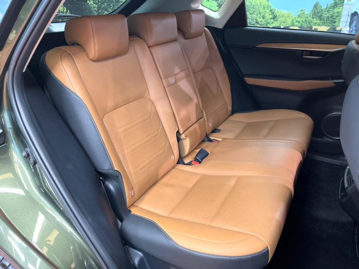 2021 Lexus NX 6AA-AYZ10 (UW-69f6bbb37d104)[8]