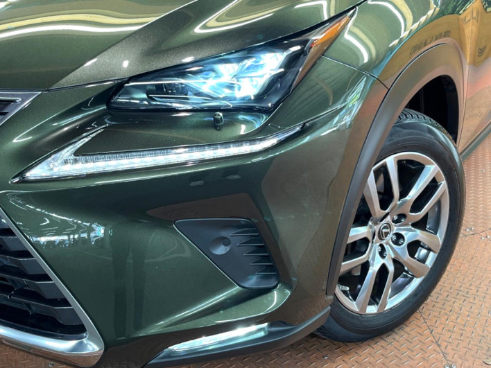 2021 Lexus NX 6AA-AYZ10 (UW-69f6bbb37d104)[14]