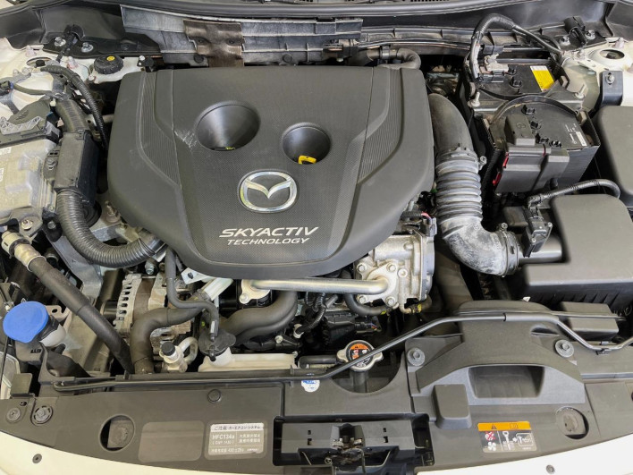 2016 Mazda Demio LDA-DJ5FS (UW-69f6bbd97e987)[14]