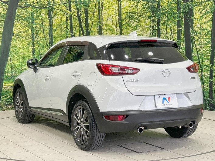 2015 Mazda CX-3 LDA-DK5FW (UW-69f6bbdbc0ddf)[19]