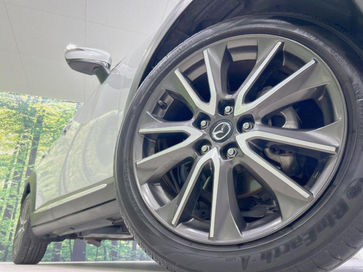 2015 Mazda CX-3 LDA-DK5FW (UW-69f6bbdbc0ddf)[10]