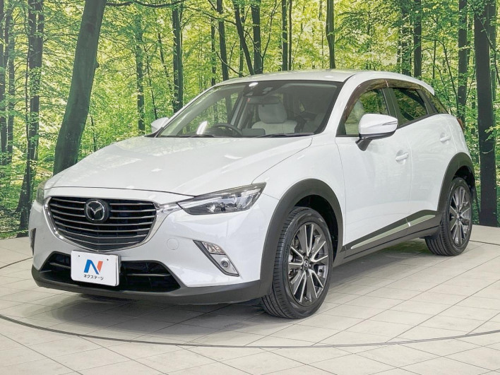 2015 Mazda CX-3 LDA-DK5FW (UW-69f6bbdbc0ddf)[13]