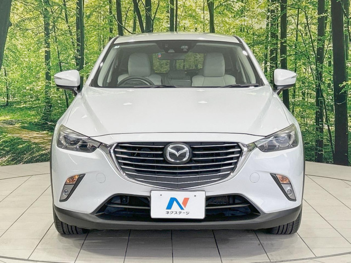2015 Mazda CX-3 LDA-DK5FW (UW-69f6bbdbc0ddf)[14]