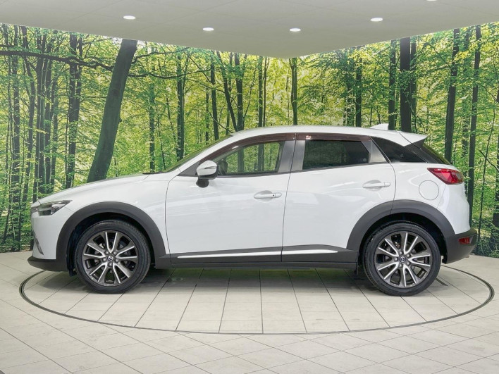 2015 Mazda CX-3 LDA-DK5FW (UW-69f6bbdbc0ddf)[20]