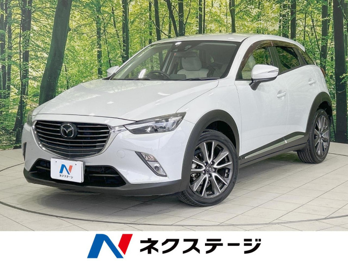 2015 Mazda CX-3 LDA-DK5FW (UW-69f6bbdbc0ddf)[3]