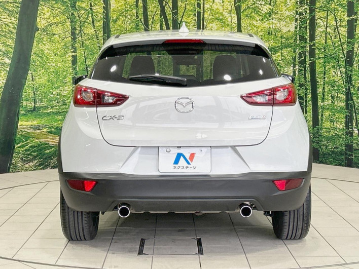 2015 Mazda CX-3 LDA-DK5FW (UW-69f6bbdbc0ddf)[18]