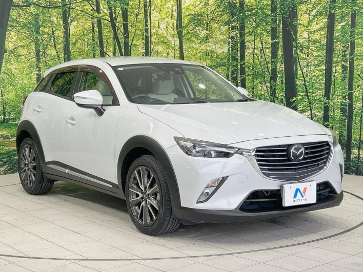 2015 Mazda CX-3 LDA-DK5FW (UW-69f6bbdbc0ddf)[15]
