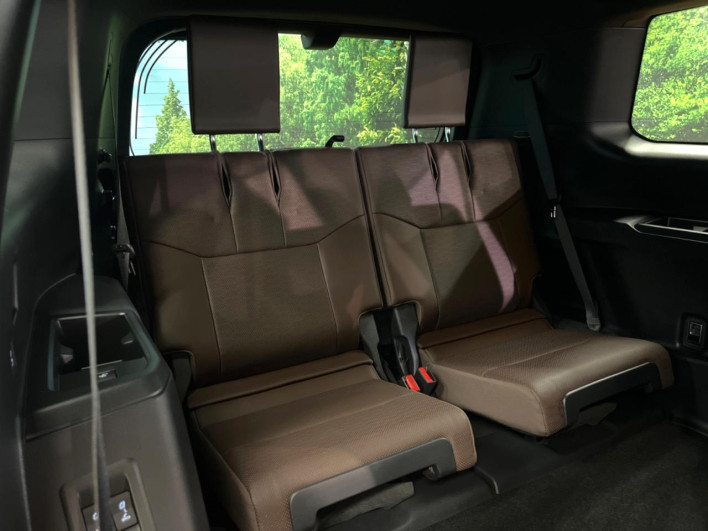 2025 Toyota Land Cruiser 250 3DA-GDJ250W (UW-69f6bbf1606f8)[10]