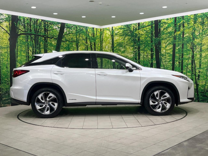 2016 Lexus RX DAA-GYL20W (UW-69f6bc0bb3aac)[14]