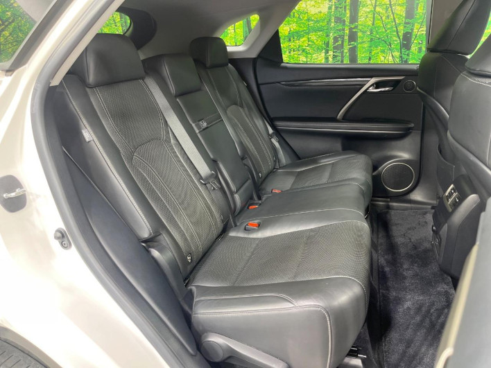 2016 Lexus RX DAA-GYL20W (UW-69f6bc0bb3aac)[19]