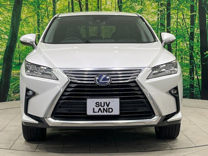 2016 Lexus RX DAA-GYL20W (UW-69f6bc0bb3aac)[16]