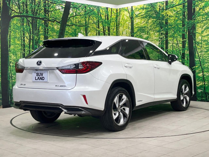 2016 Lexus RX DAA-GYL20W (UW-69f6bc0bb3aac)[13]