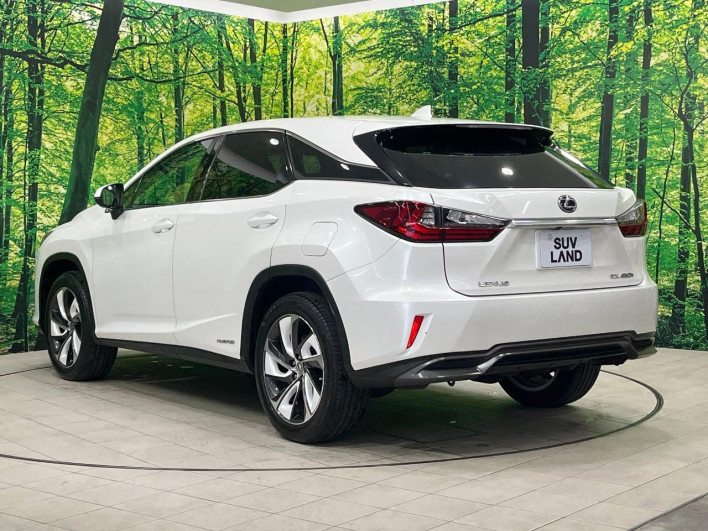 2016 Lexus RX DAA-GYL20W (UW-69f6bc0bb3aac)[11]