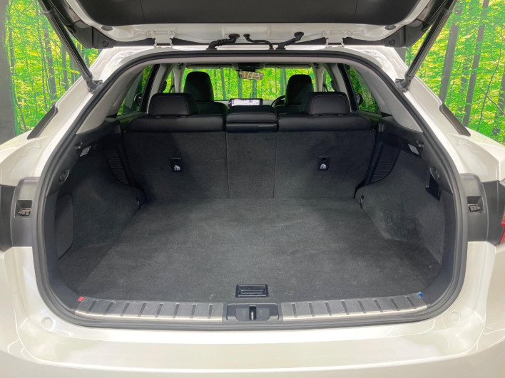 2016 Lexus RX DAA-GYL20W (UW-69f6bc0bb3aac)[29]