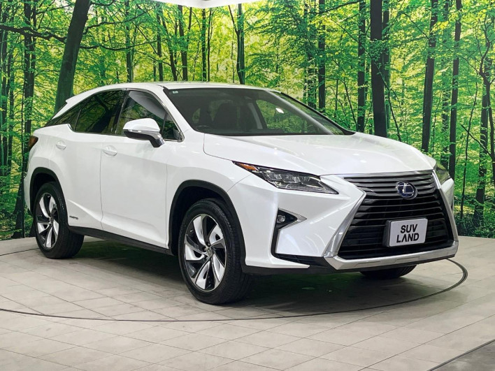 2016 Lexus RX DAA-GYL20W (UW-69f6bc0bb3aac)[15]