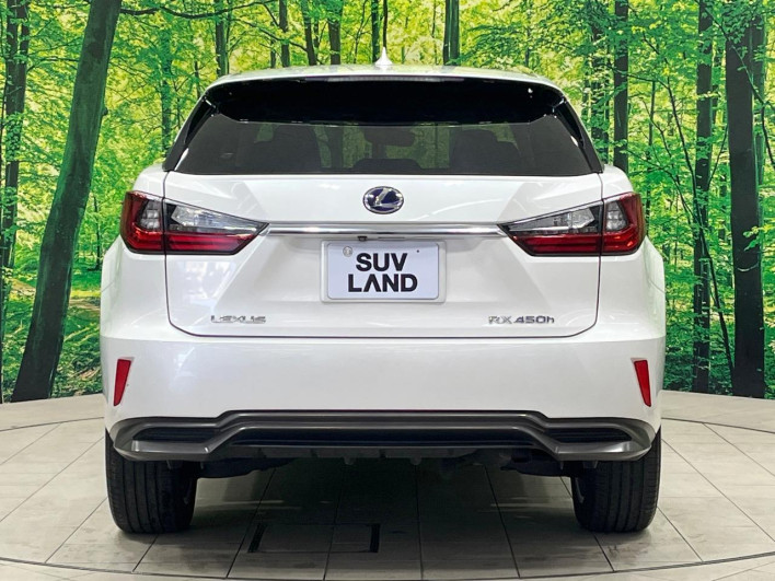 2016 Lexus RX DAA-GYL20W (UW-69f6bc0bb3aac)[12]