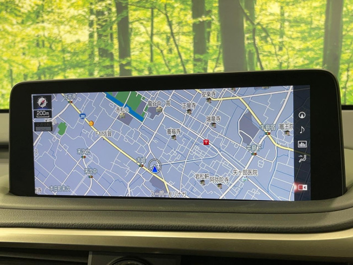 2021 Lexus RX 6AA-GYL20W (UW-69f6bc0d1aa2d)[28]