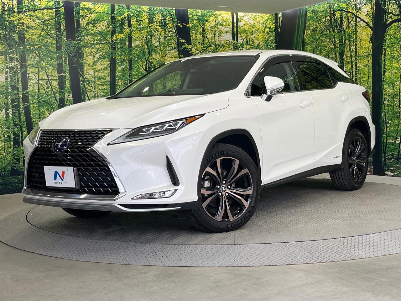2021 Lexus RX 6AA-GYL20W