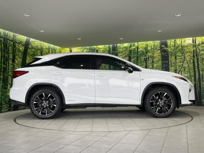 2018 Lexus RX DAA-GYL25W (UW-69f6bc0da0083)[9]