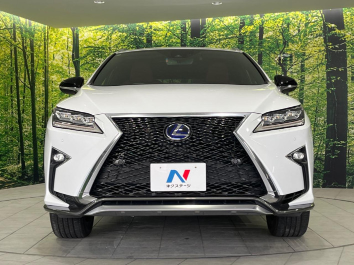 2018 Lexus RX DAA-GYL25W (UW-69f6bc0da0083)[7]