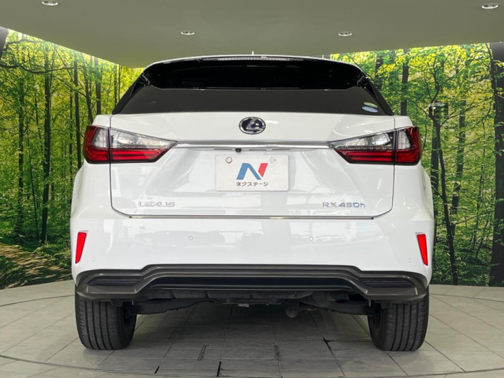 2018 Lexus RX DAA-GYL25W (UW-69f6bc0da0083)[14]