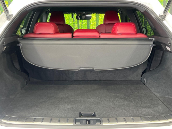 2018 Lexus RX DAA-GYL25W (UW-69f6bc0da0083)[21]