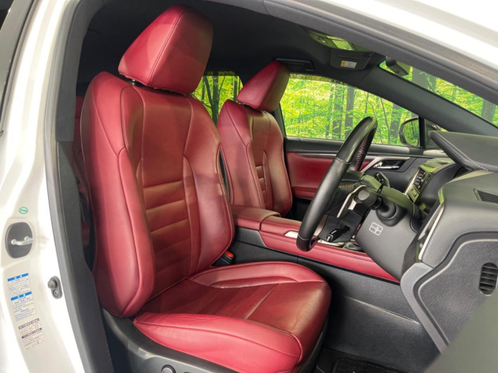 2018 Lexus RX DAA-GYL25W (UW-69f6bc0da0083)[10]