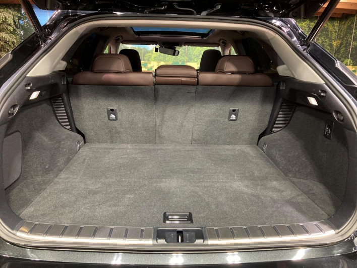 2021 Lexus RX 6AA-GYL25W (UW-69f6bc0db5d00)[26]