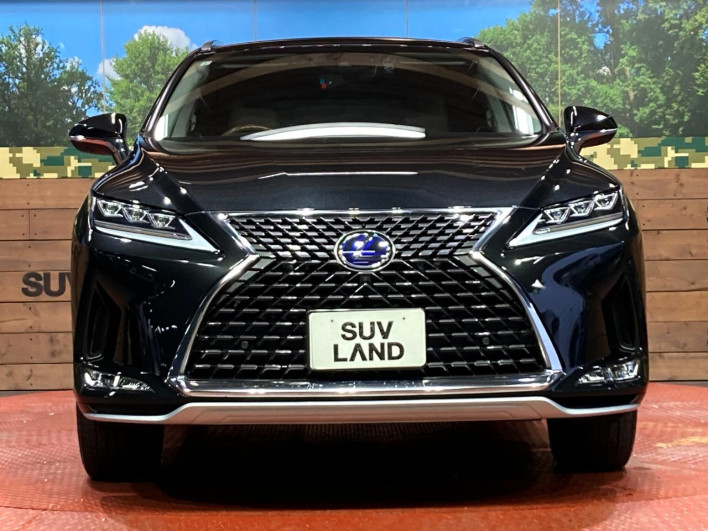 2021 Lexus RX 6AA-GYL25W (UW-69f6bc0db5d00)[16]