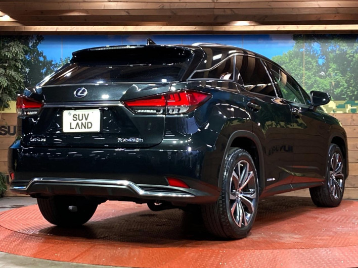 2021 Lexus RX 6AA-GYL25W (UW-69f6bc0db5d00)[19]