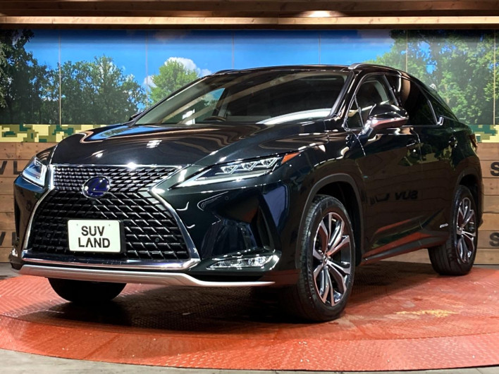2021 Lexus RX 6AA-GYL25W (UW-69f6bc0db5d00)[15]