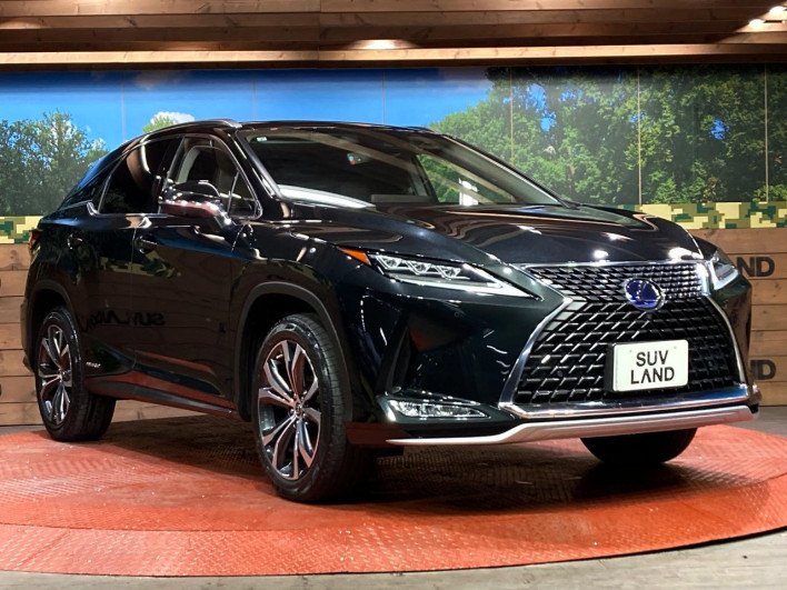 2021 Lexus RX 6AA-GYL25W (UW-69f6bc0db5d00)[17]