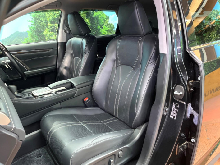 2021 Lexus RX 6AA-GYL26W (UW-69f6bc0e1e07e)[12]