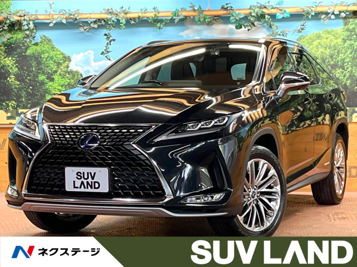 2021 Lexus RX 6AA-GYL26W (UW-69f6bc0e1e07e)[3]