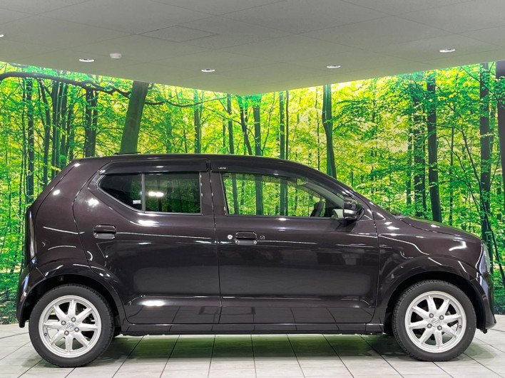 2017 Suzuki Alto DBA-HA36S (UW-69f6bc1093e6b)[17]
