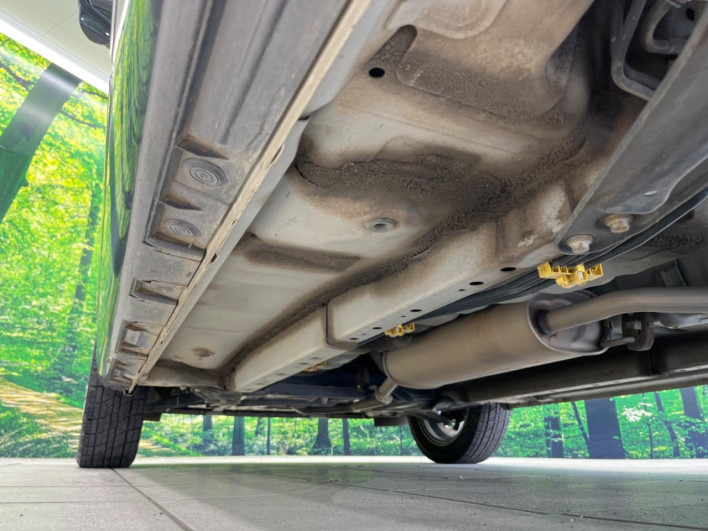 2015 Daihatsu Cast DBA-LA250S (UW-69f6bc4edb19e)[20]