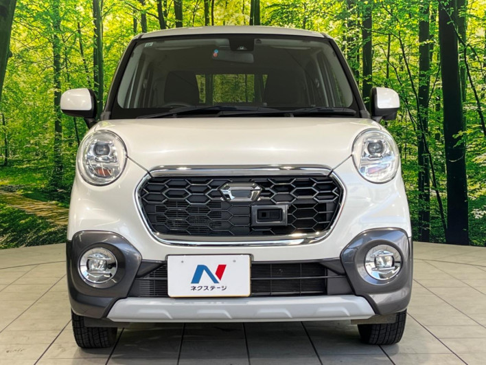 2015 Daihatsu Cast DBA-LA250S (UW-69f6bc4edb19e)[7]