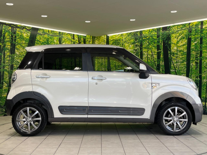 2015 Daihatsu Cast DBA-LA250S (UW-69f6bc4edb19e)[9]