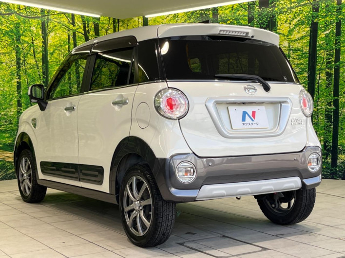 2015 Daihatsu Cast DBA-LA250S (UW-69f6bc4edb19e)[12]
