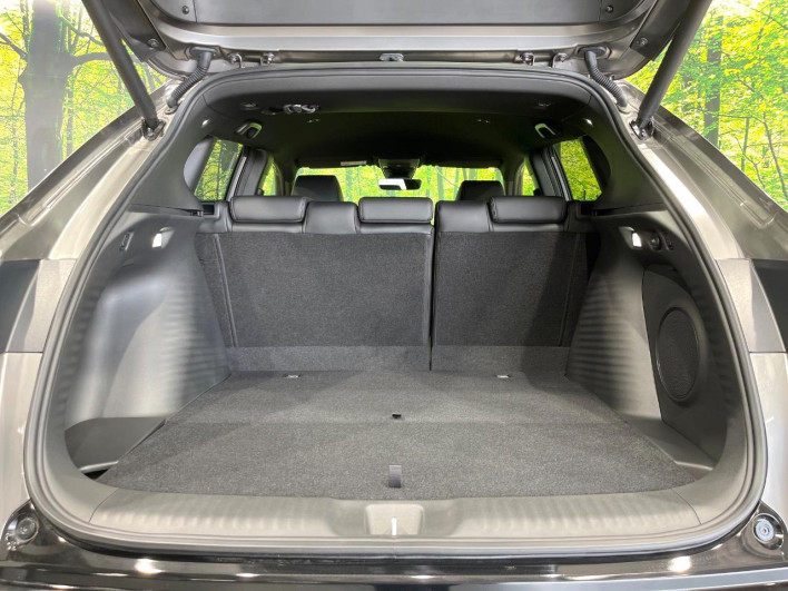 2024 Honda ZR-V 6AA-RZ6 (UW-69f6bce9d499d)[4]