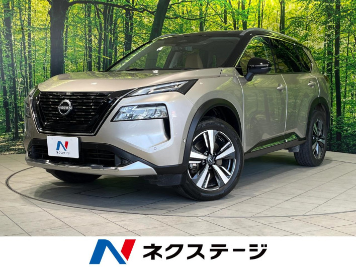2022 Nissan X-Trail 6AA-SNT33 (UW-69f6bcf293a4b)[3]