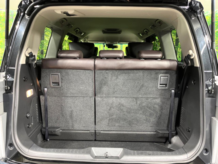 2022 Nissan Elgrand 5BA-TNE52 (UW-69f6bcf7145ca)[6]